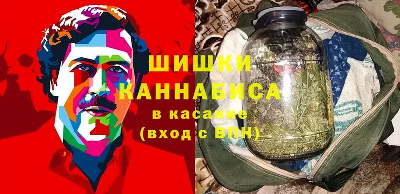 Канабис план  Большой Камень 